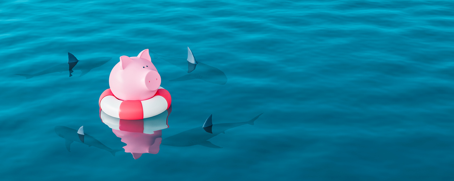 BNPL. The High Cost of Low-Cost Lending.