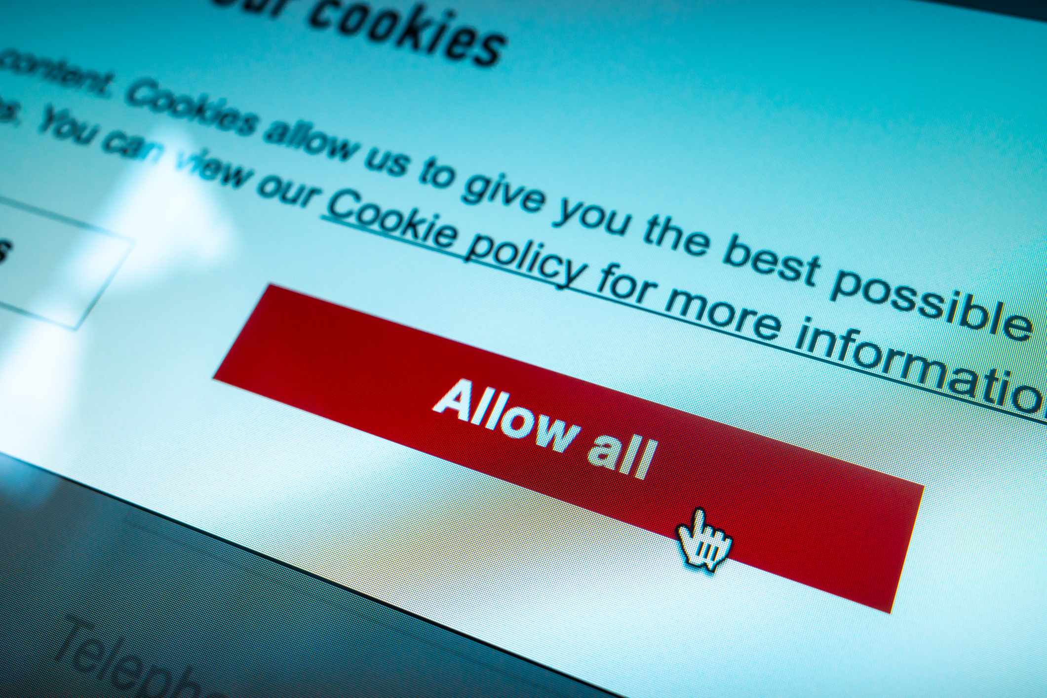 computer screen showing cookie allowance button