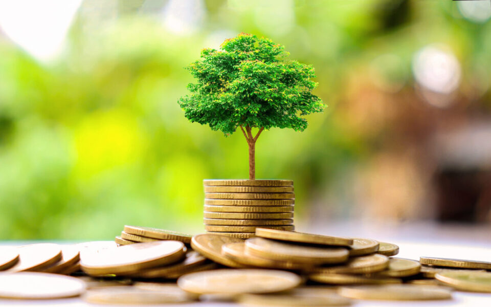 Why your bank marketing should include "greenness."